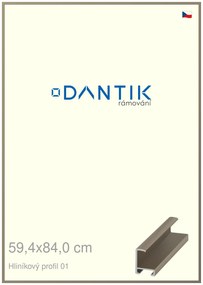DANTIK rám na obraz 59,4x84 | ALU champagne (Plexi Čiré)