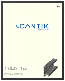 DANTIK rám na obraz 40x50 | ALU Černá matná (Sklo Čiré)