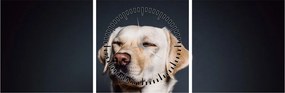 Obraz labradora (s hodinami) (90x30 cm)