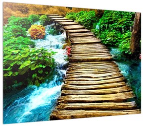 Obraz dreveného chodníka cez rieku (70x50 cm)