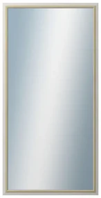 DANTIK - Zrkadlo v rámu, rozmer s rámom 60x120 cm z lišty RIVIERA Au (3100)