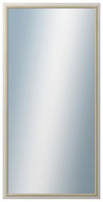 DANTIK - Zrkadlo v rámu, rozmer s rámom 60x120 cm z lišty RIVIERA Au (3100)