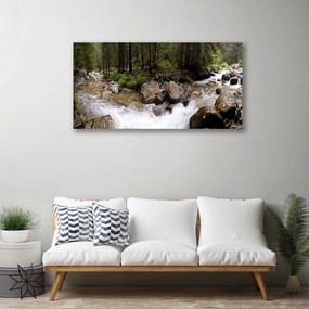 Obraz Canvas Les rieka vodopády 140x70 cm