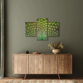 Obraz - Páv (90x60 cm)