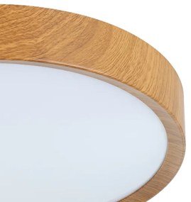 Eglo 98601 - LED Stropné svietidlo MUSURITA LED/14,6W/230V