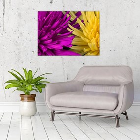 Sklenený obraz - detail kvetov (70x50 cm)