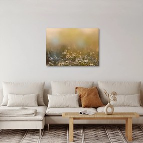 Obraz - Olejomaľba sedmokrások (70x50 cm)