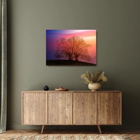 Sklenený obraz stromov v hmle (70x50 cm)