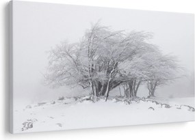 Obraz - Biela zima (90x60 cm)