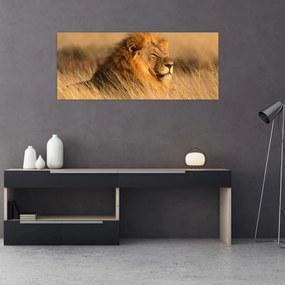 Obraz - Národný park Etosha (120x50 cm)