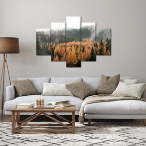 Obraz - Jesenný les (150x105 cm)