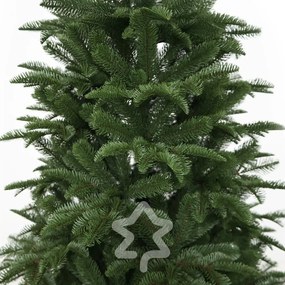 Jedľa Kaukazská 100% 150 cm