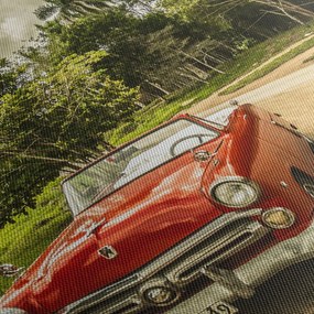 Obraz - auto veterán v prírode (90x60 cm)
