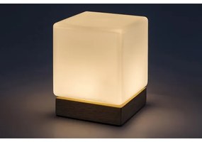 Rabalux 76003 - LED Stmievateľná stolná lampa PIRIT LED/1,2W/5V 3000K buk