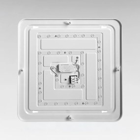 Stropné LED svietidlo Nemo, 1x LED 36w, 4000k, ch