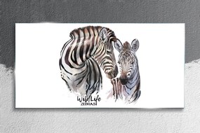 Skleneny obraz Zebra animal strips