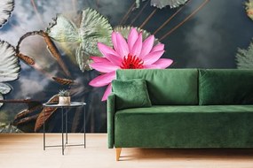 Samolepiaca fototapeta očarujúci lotosový kvet - 150x100