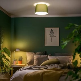 Brilagi - LED prisadený luster CERIA 1xE27/40W/230V pr. 45 cm zelený