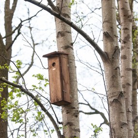 Búdka pre ďatľa Smart, 53,5x18x22 cm, drevo, hnedá