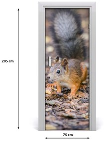 Samolepiace fototapety na dvere Veverička v lezie 75x205 cm