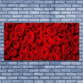 Obraz na akrylátovom skle Ruže 120x60 cm