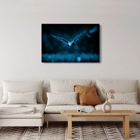Obraz letiacej sovy (90x60 cm)