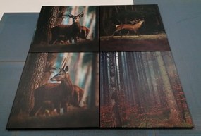 Set obrazov čaro lesných zvierat - 4x 60x60