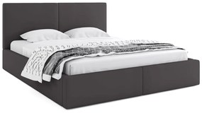 Manželská posteľ HAILEY | bez matraca 120 x 200 cm Farba: Grafit