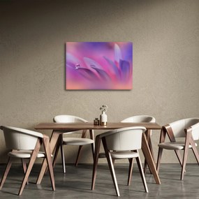 Obraz - Kvapka na kvete (70x50 cm)