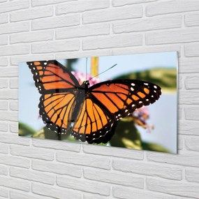 Obraz na akrylátovom skle Farebný motýľ 100x50 cm
