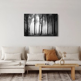 Obraz - Vlk v temnom lese (90x60 cm)