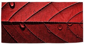 Sablio Uterák Červený list - 30x50 cm