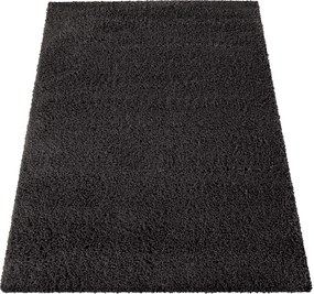 DY Koberec Santo Anthracite Rozmer: 80x150 cm