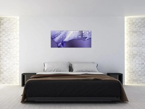 Obraz - Okvetný lístok s kvapkami (120x50 cm)