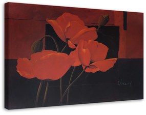 Obraz na plátně Polní máky Květiny Červená - 120x80 cm