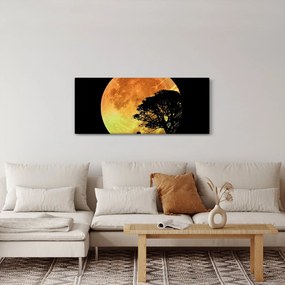 Obraz tieňov v mesačnom svetle (120x50 cm)