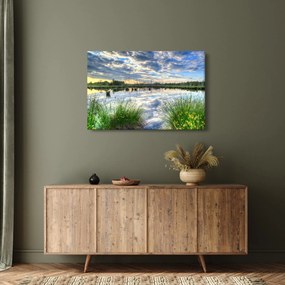 Obraz jazera s tŕstím (90x60 cm)