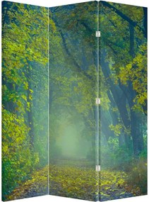 Paraván - Cesta lemovaná stromami (126x170 cm)
