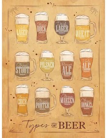 Ceduľa Types of Beer  40 x 30 cm