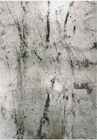 Umývateľný koberec's nízkym vlasom do interiéru/exteriéru Alpine