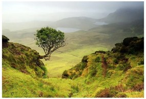 Fototapeta Vliesová Isle of skye škótsko 312x219 cm