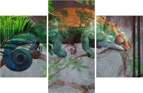 Obraz - Chameleon (90x60 cm)
