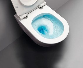 GSI GSI, PURA závesná WC misa, Swirlflush, 55x36 cm, biela dual-mat, 881509