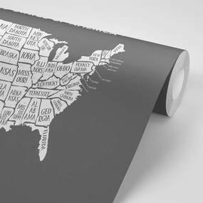 Tapeta náučná mapa USA v čiernobielom - 225x150