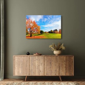 Obraz - Jesenná krajina (90x60 cm)