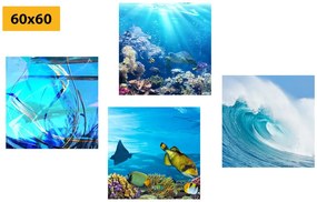 Set obrazov morský život