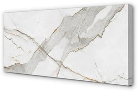 Obraz canvas Marble kameň škvrny 120x60 cm