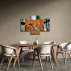 Obraz žmurkajúce mačky (90x60 cm)