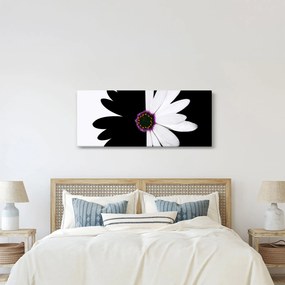 Obraz čiernobieleho kvetu (120x50 cm)