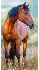 TipTrade Bavlnený froté uterák 30x50 cm - Hnedý kôň na lúke